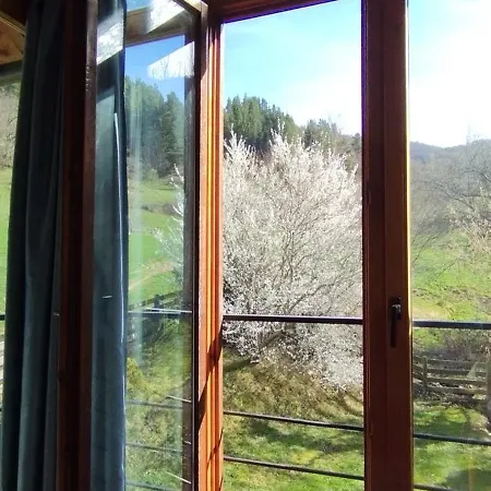 Y La Hornera コスガヤ