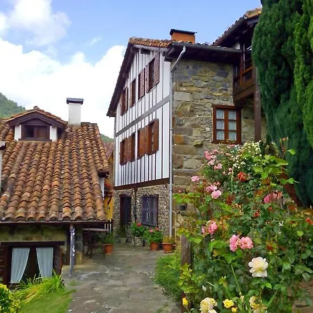 Y La Hornera コスガヤ